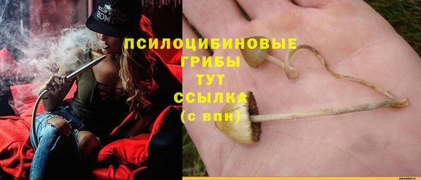 меф Нягань