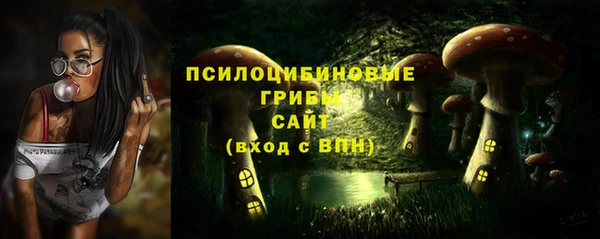 меф Нягань