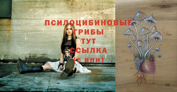 прущие крисы Новодвинск