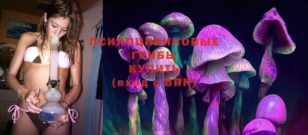 скорость Няндома