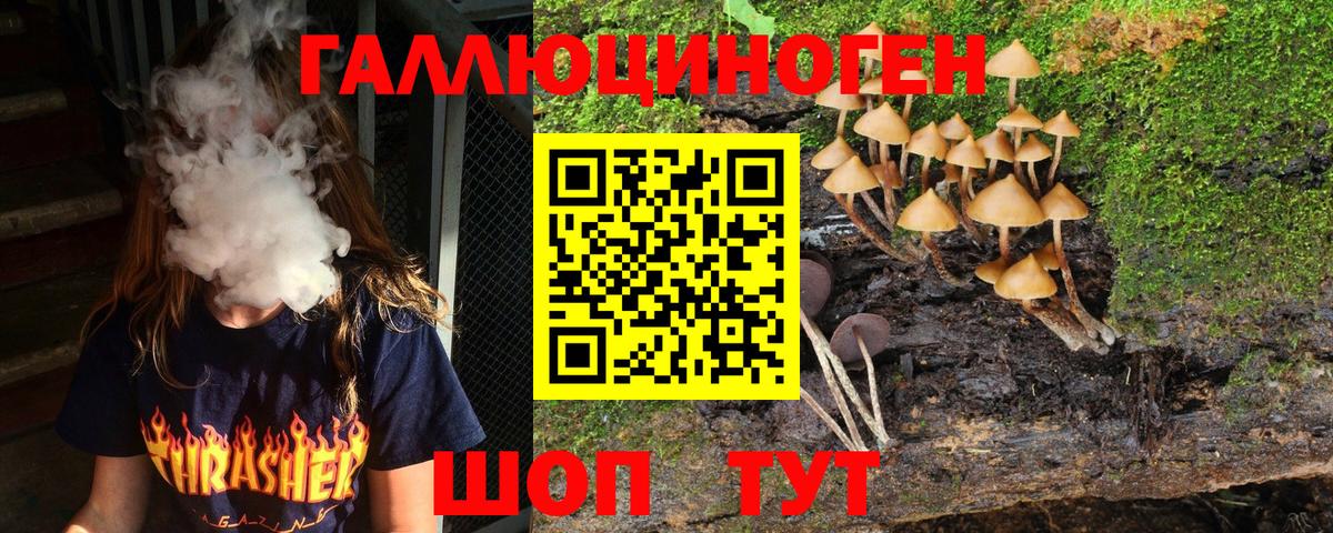 Псилоцибиновые грибы мицелий  Азнакаево 