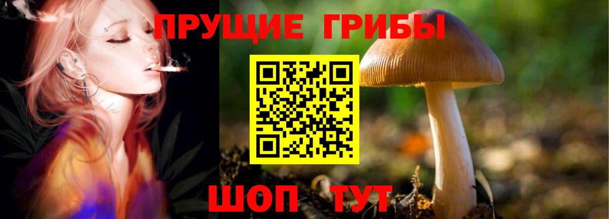 Азнакаево  Галлюциногенные грибы Cubensis  Вход с VPN  Галлюциногенные грибы GOLDEN TEACHER 